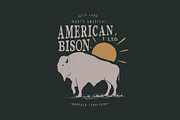 Vintage label with american bison