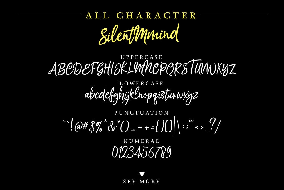 Silentmind Typeface in Script Fonts - product preview 6