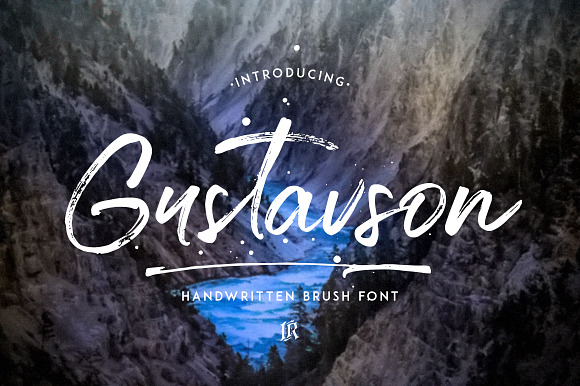 Gustavson Script Font in Script Fonts - product preview 8