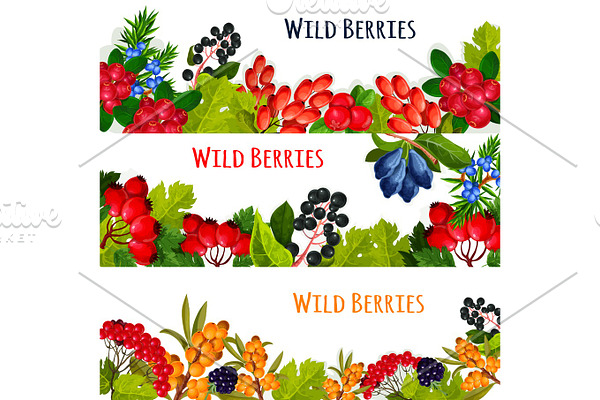 Vector banners set of wild berries and ruits
