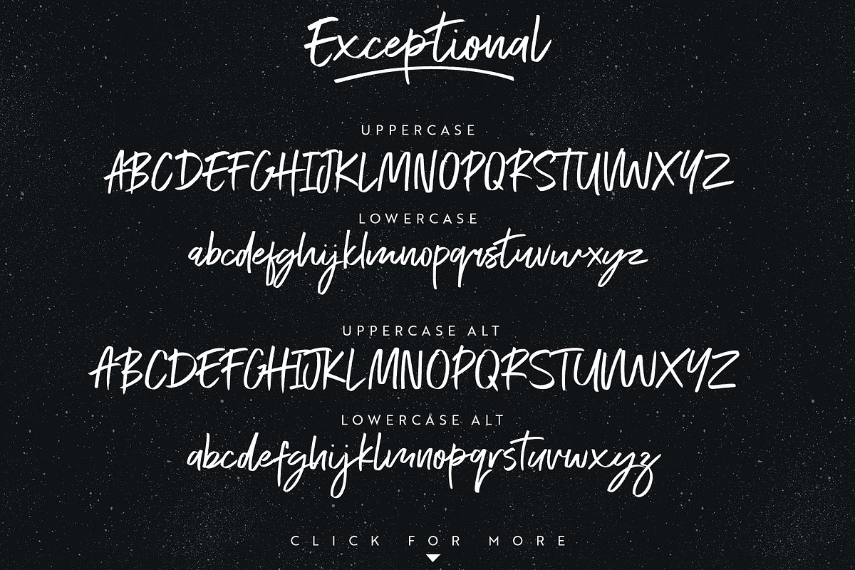 Exceptional font in Script Fonts - product preview 8