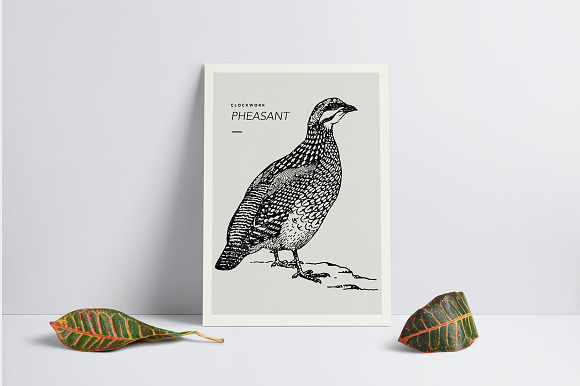 Birds Illustrations in Illustrations - product preview 8