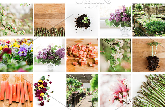Spring Instagram Bundle in Graphics - product preview 2