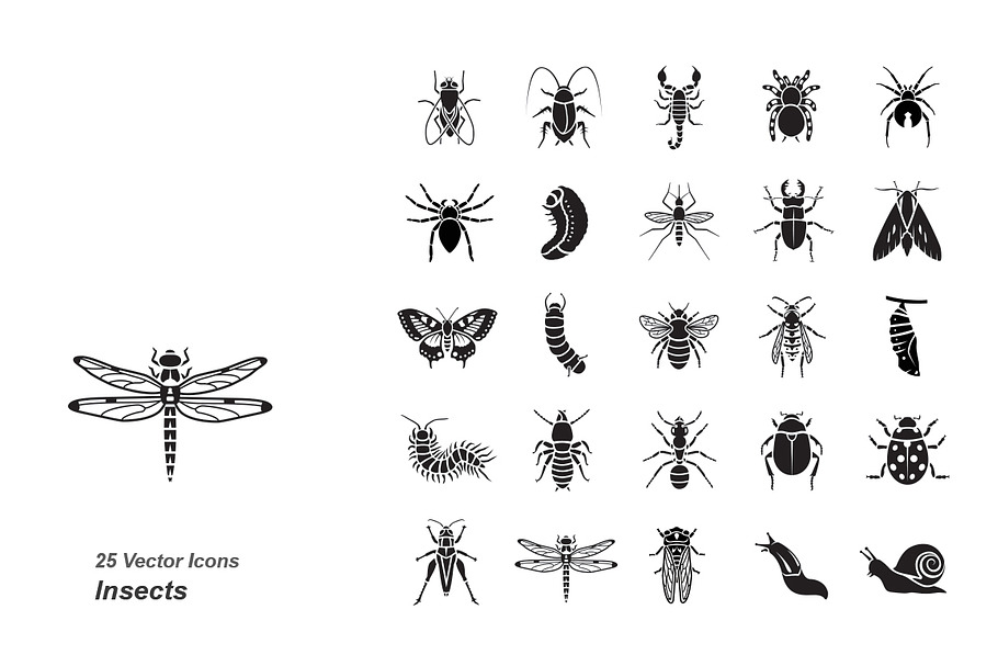 Insects vector icons