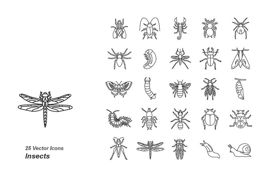 Insects outlines vector icons in Graphics - product preview 8