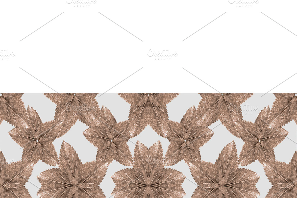 Stylized Leaves Floral Collage Seamless Pattern in Illustrations - product preview 8
