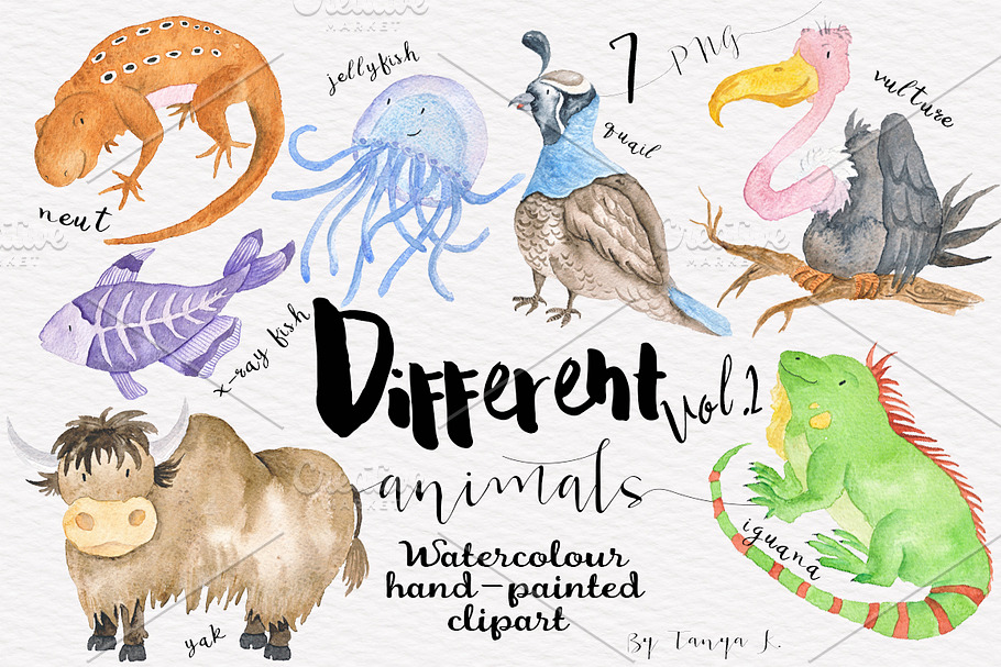 Watercolor Animals clipart