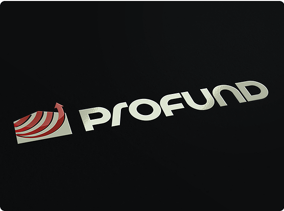 ProFund Logo Design in Logo Templates - product preview 1