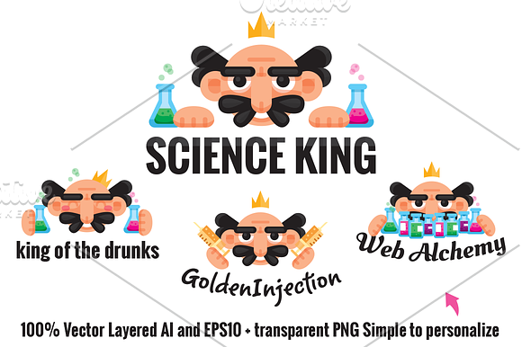 Science King logo kit-1logo & 12Icon in Logo Templates - product preview 1