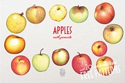 Apples With Colour Pencils + Bonus