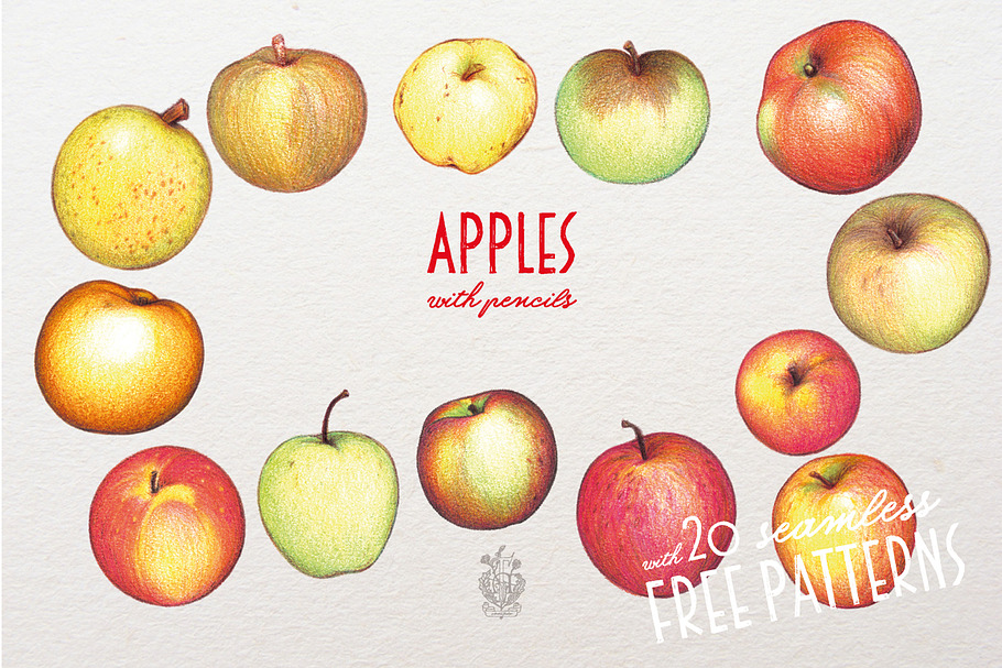Apples With Colour Pencils + Bonus in Illustrations - product preview 8