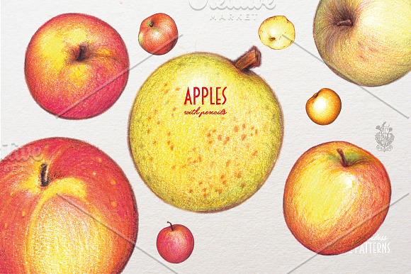 Apples With Colour Pencils + Bonus in Illustrations - product preview 1