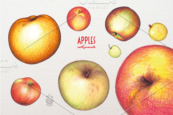 Apples With Colour Pencils + Bonus in Illustrations - product preview 2