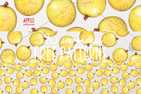 Apples With Colour Pencils + Bonus in Illustrations - product preview 5