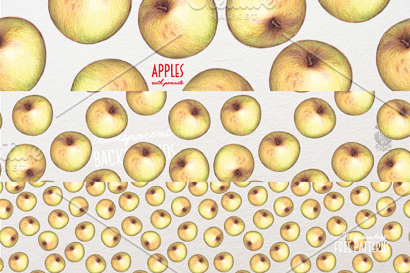 Apples With Colour Pencils + Bonus in Illustrations - product preview 6