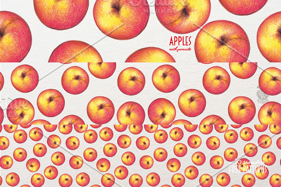 Apples With Colour Pencils + Bonus in Illustrations - product preview 7