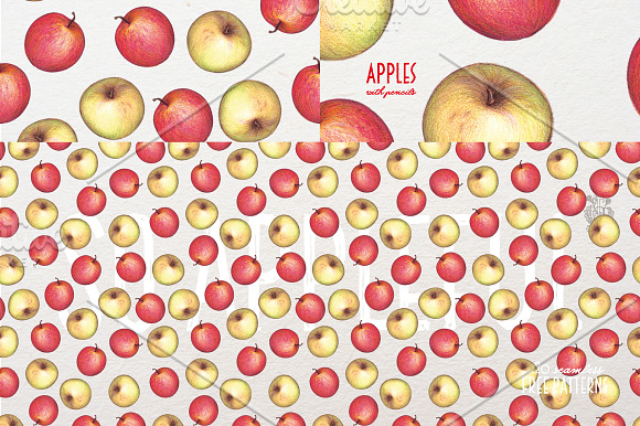 Apples With Colour Pencils + Bonus in Illustrations - product preview 9