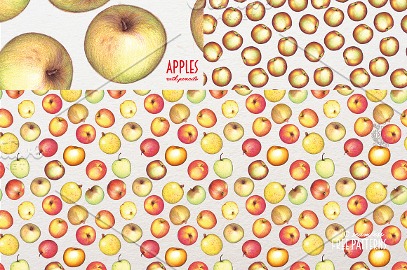 Apples With Colour Pencils + Bonus in Illustrations - product preview 10