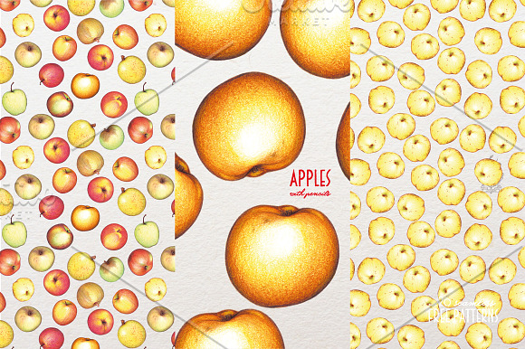 Apples With Colour Pencils + Bonus in Illustrations - product preview 12