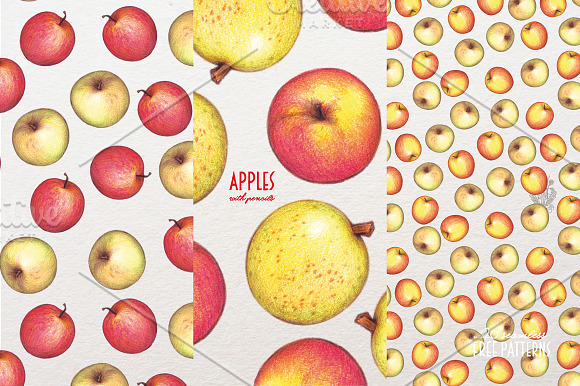 Apples With Colour Pencils + Bonus in Illustrations - product preview 13