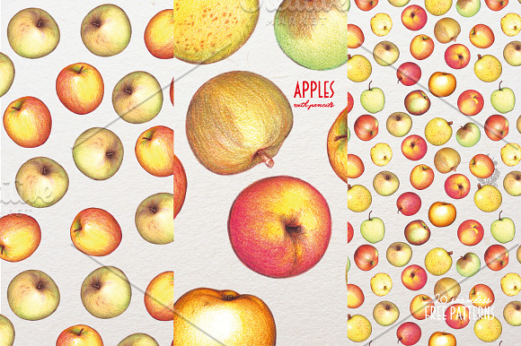 Apples With Colour Pencils + Bonus in Illustrations - product preview 14