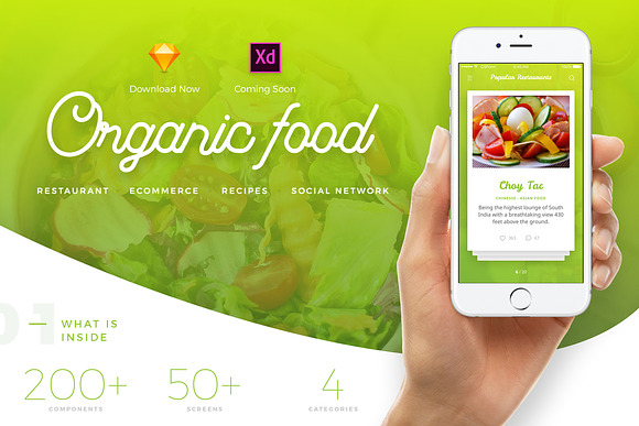 Organic Food UI Kit - 4 in 1 in UI Kits and Libraries - product preview 11