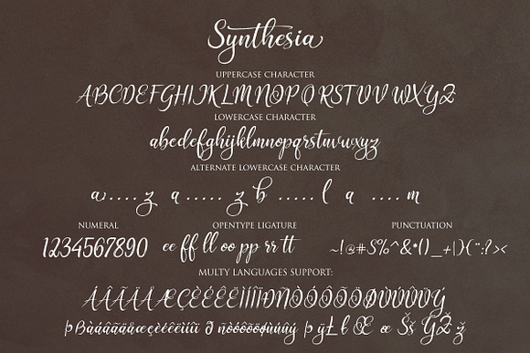 Synthesia in Script Fonts - product preview 8