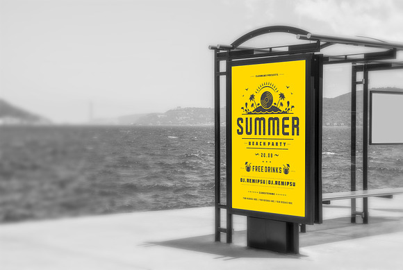 3 Summer party flyers templates in Flyer Templates - product preview 3