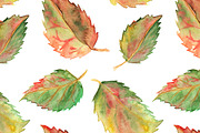 Autumn fall leaf seamless pattern