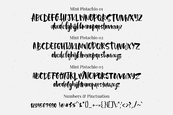 Mint Pistachio Font Trio in Script Fonts - product preview 5