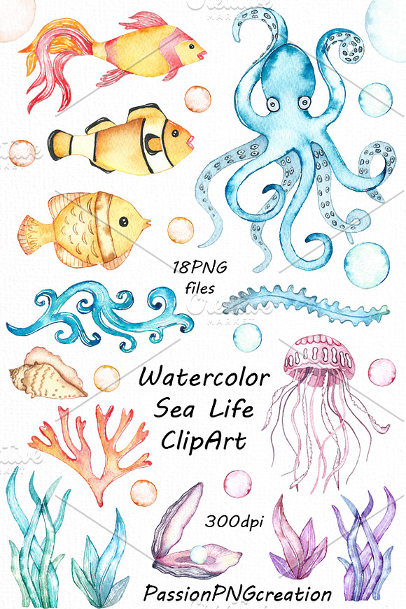 Watercolor Underwater Life Clipart in Illustrations - product preview 3