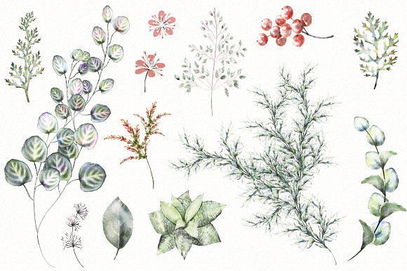 Nature Collection. Wild flowers in Illustrations - product preview 2