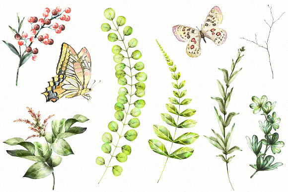 Nature Collection. Wild flowers in Illustrations - product preview 5