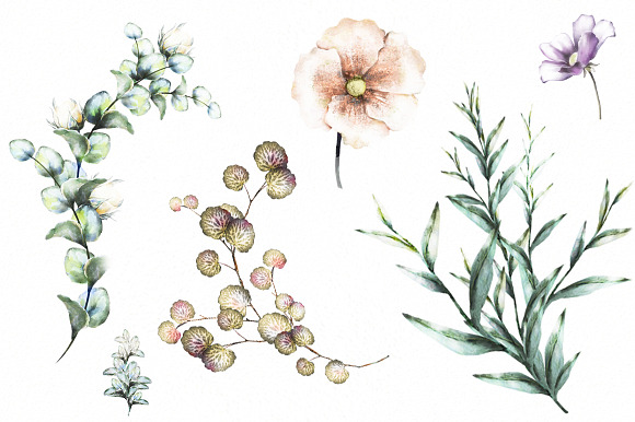 Nature Collection. Wild flowers in Illustrations - product preview 6