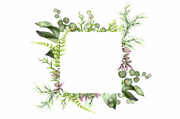 Nature Collection. Wild flowers in Illustrations - product preview 12