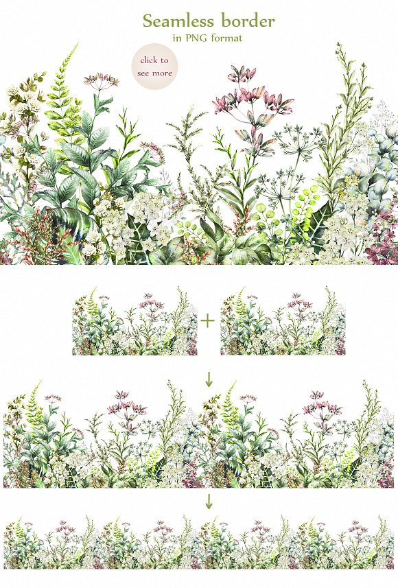 Nature Collection. Wild flowers in Illustrations - product preview 13