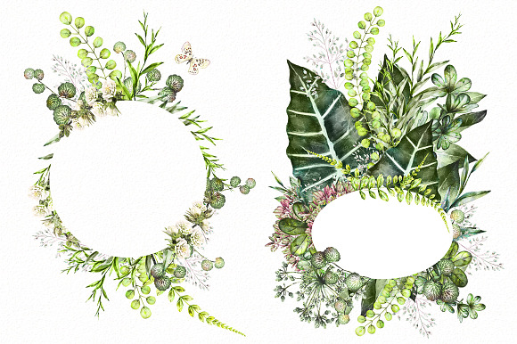 Nature Collection. Wild flowers in Illustrations - product preview 14