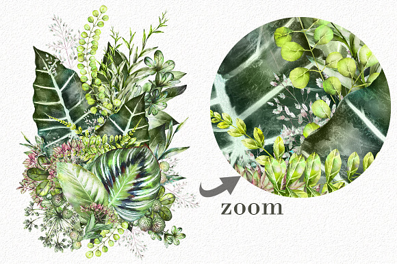 Nature Collection. Wild flowers in Illustrations - product preview 15
