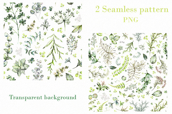 Nature Collection. Wild flowers in Illustrations - product preview 16