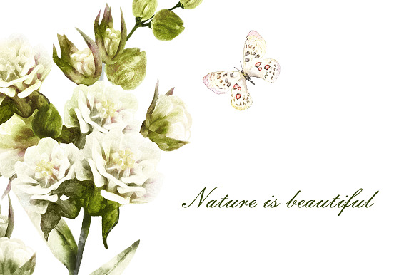 Nature Collection. Wild flowers in Illustrations - product preview 17