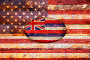 USA and Hawaii flags.