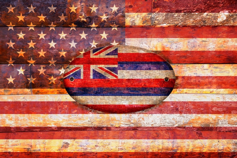 USA and Hawaii flags. in Illustrations - product preview 8