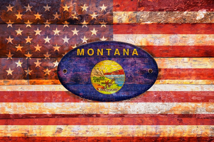 USA and Montana flags. in Illustrations - product preview 8