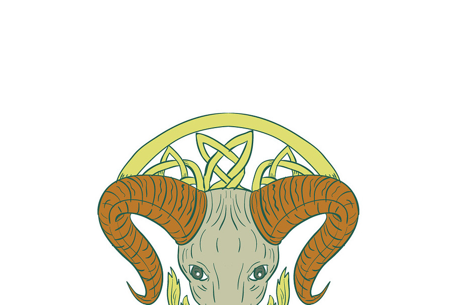 Ram Head Celtic Knot
