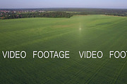 Aerial flight above the agricultural field with green grass, Russia