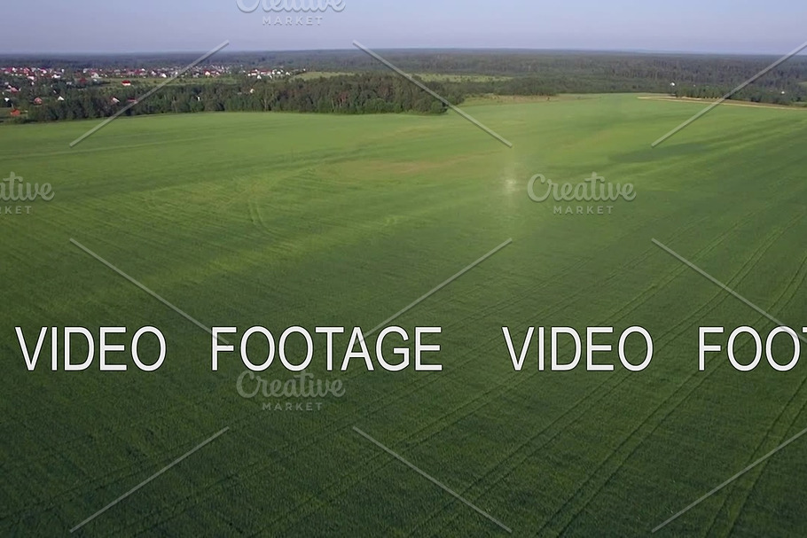 Aerial flight above the agricultural field with green grass, Russia in Graphics - product preview 8