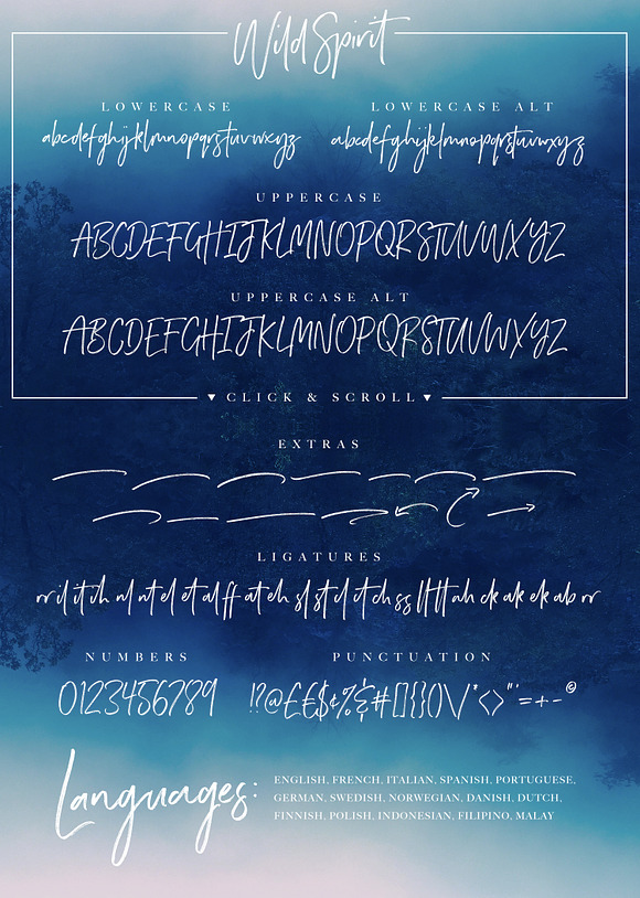 Wild Spirit Font in Script Fonts - product preview 7