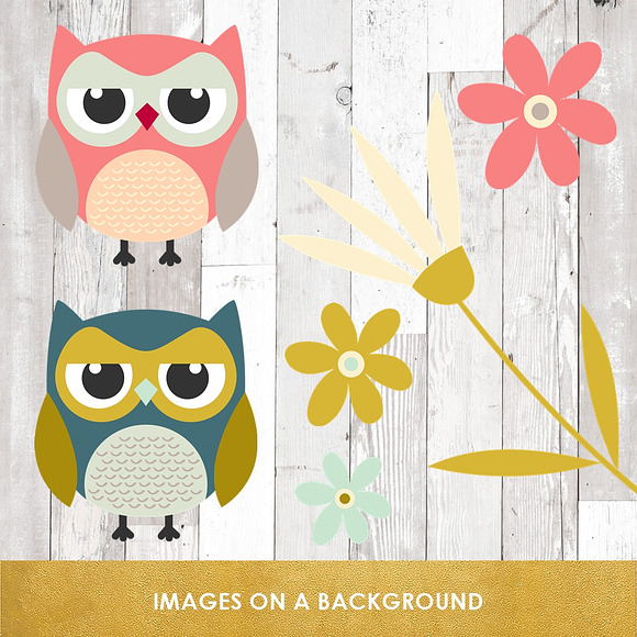 Cute Owl & Flower Clipart Set in Illustrations - product preview 4