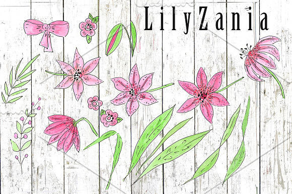 SALE LILYZANIA clipart & pattern set in Illustrations - product preview 1