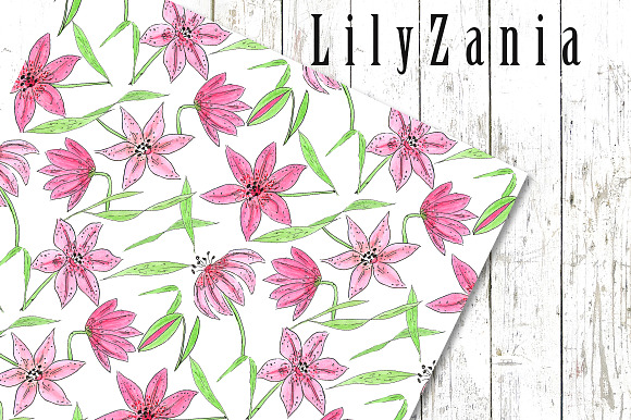 SALE LILYZANIA clipart & pattern set in Illustrations - product preview 2